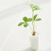 爱吃猫的鱼182的个人资料头像