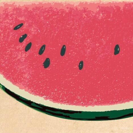 西瓜新能源头像