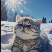 Luck400的个人资料头像