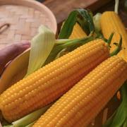 刘科的个人资料头像