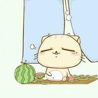 月末596头像
