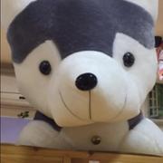 h406621397的个人资料头像