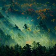 范培华的个人资料头像