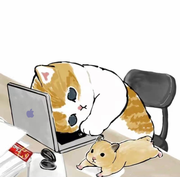 return_false的个人资料头像