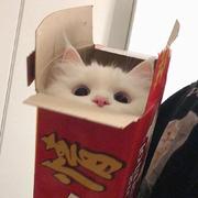 CaHeFH的个人资料头像