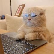 水远烟微的个人资料头像