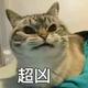 我爱你的Ke乐 · 领克05车主·车龄3年头像