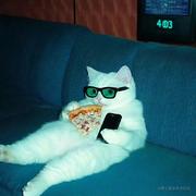 星期二的个人资料头像