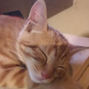 ejun的个人资料头像