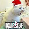 涛头像