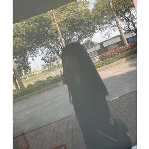 安逸风筝DG头像