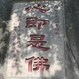 user177466242600头像