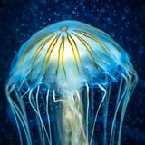 用户6686057912917头像