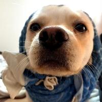 壮壮的启源Q07头像