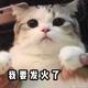 黄缨缨 · 小鹏P7车主·车龄3年头像