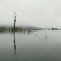 一起看夕阳头像