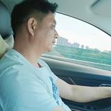 高级枫叶Msh头像