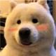 晨光8771 · 思域车主·车龄1年头像