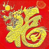 Liu萍头像
