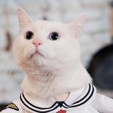 小炜头像