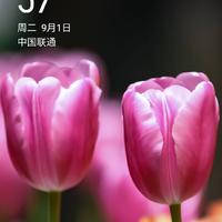联强广告310头像