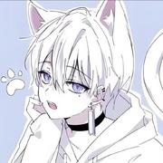 Ch3nCh1的个人资料头像