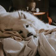 老超315的个人资料头像