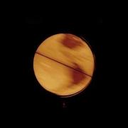 Iridescent847的个人资料头像