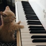 飞鸟healer的个人资料头像