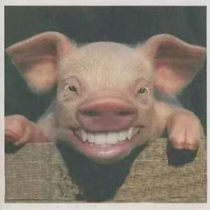 全球健康农牧.全球头像