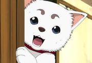 流浪的猫5566的个人资料头像