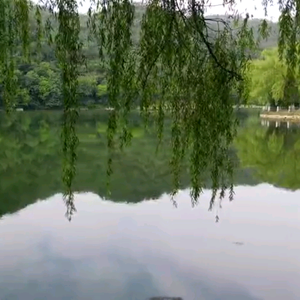 好东西分享头像