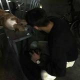 用户6413782943706头像