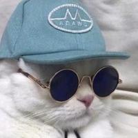 地中海土恐龙头像
