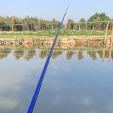 飞天猪王pig头像