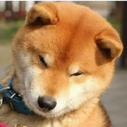 liuzhiyan5的个人资料头像