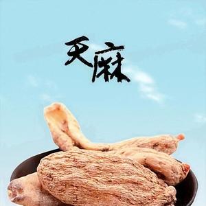 昭通小草坝天麻头像