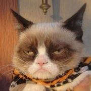 安迪學長的个人资料头像