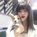 狐狸t头像