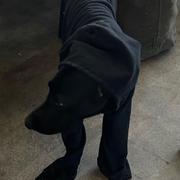 Richman的个人资料头像