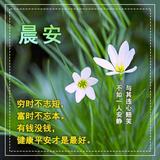 极速星星QN2头像