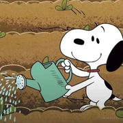 TQuester的个人资料头像