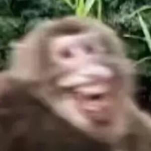 热情的宇宙nm头像