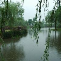 凭栏听雨880头像