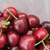 用户692813339头像