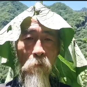 百晓生头像
