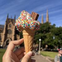 辛苦攒钱买路虎的小姐姐头像