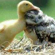 郎的个人资料头像