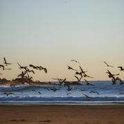 忆晋南城的个人资料头像