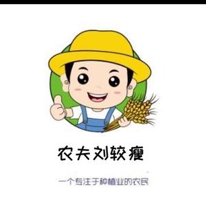 农夫刘较瘦头像